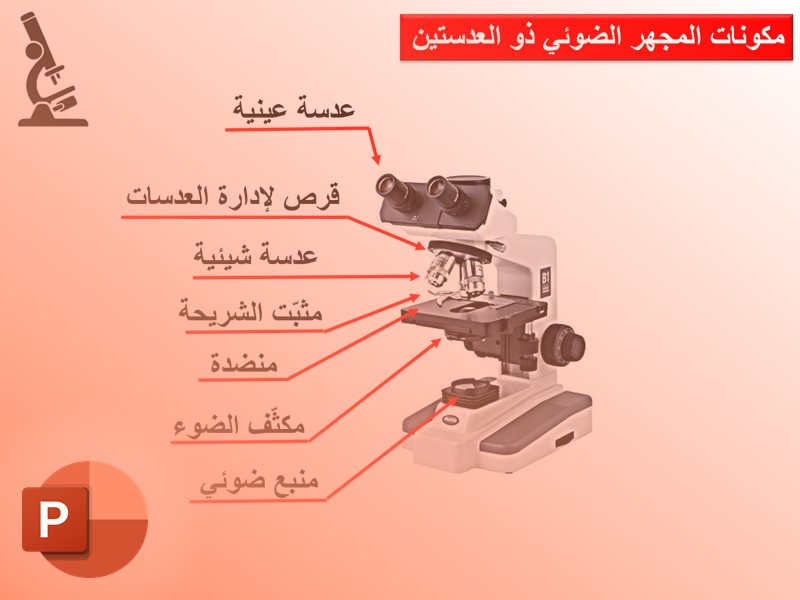 دراسة الخلية بالمجهر الالكتروني - Copie (Copie NXPowerLite)